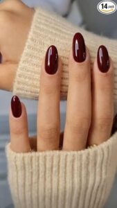 Set of 14 pc, Press-On Nails, Dark Maroon Almond Shape, Glossy Finish with free glue kit